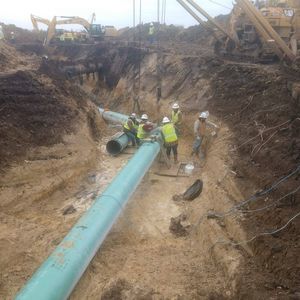 Meet your Posher, Dalton